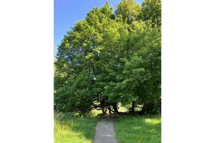Architectuurcentrum Den Helder organiseert lezing over natuurbeleving in de stad
