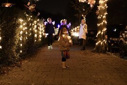 Den Helder straalt binnenkort weer tijdens negende editie van de lichtjesloop