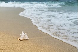Den Helder opnieuw schoonste strand van Noord-Holland