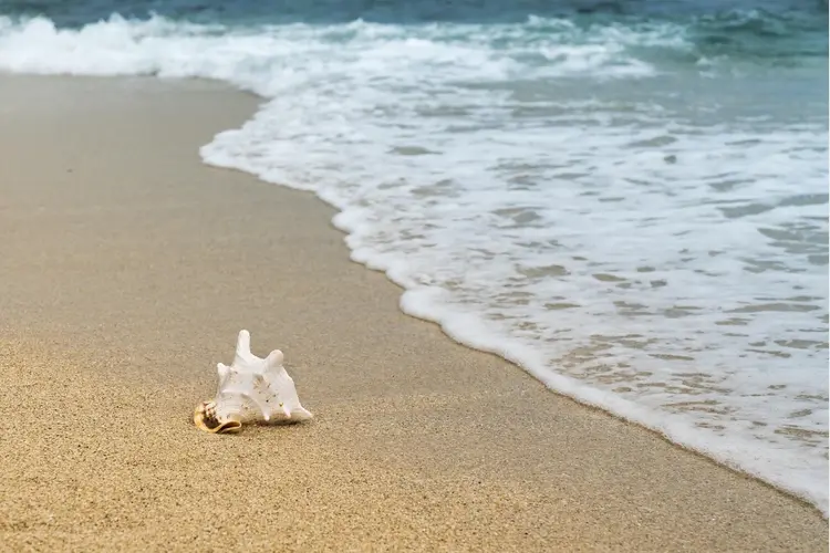 Den Helder opnieuw schoonste strand van Noord-Holland