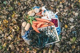 Kop van Noord-Holland zet de smaak van de streek centraal tijdens Culinaire Wadden Weken 2025