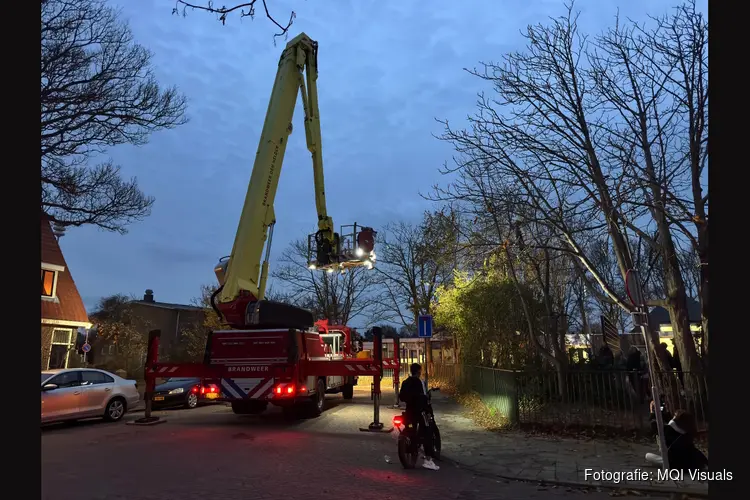 Meisje door brandweer uit boom gehaald