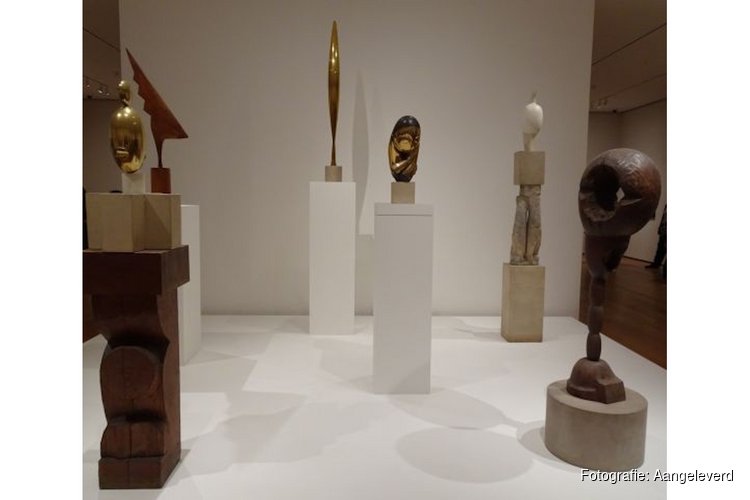 Kunstlezing Constantin Brâncuşi 19 November 2025