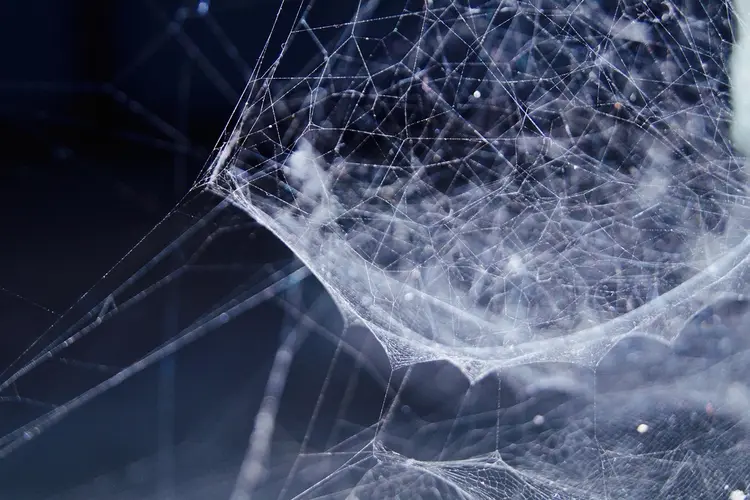 Hoe glasvezel jouw internetervaring kan verbeteren