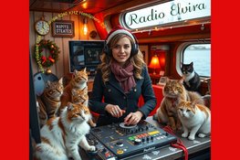 Radio Elvira Dijk en Waard pakt uit rond de kerstdagen