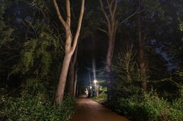 Provincie Noord-Holland vernieuwt beleid verlichting: licht waar het moet, donker waar het kan