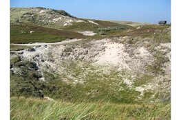 Winterwandeling in de Noordduinen