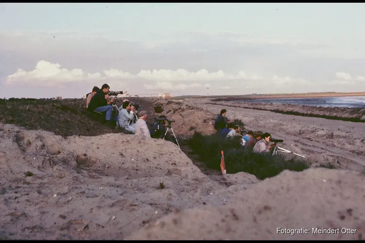Vroege vogelexcursie op het Balgzand