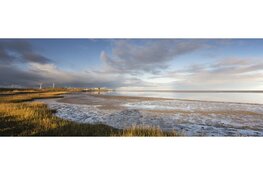 Vroege vogelexcursie op het Balgzand