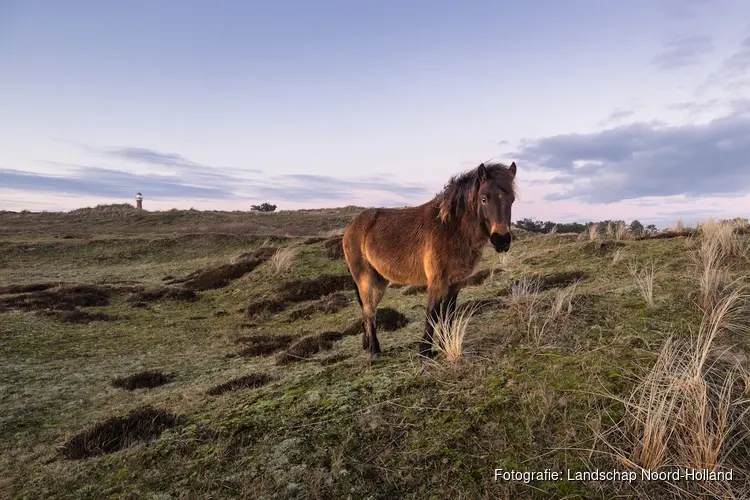 Fotozwerftocht door de Grafelijkheidsduinen