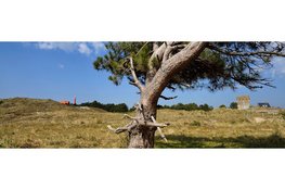 Zwerftocht door de Grafelijkheidsduinen