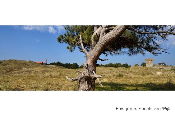 Zwerftocht door de Grafelijkheidsduinen