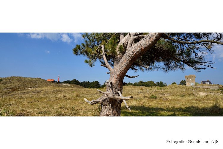 Zwerftocht door de Grafelijkheidsduinen
