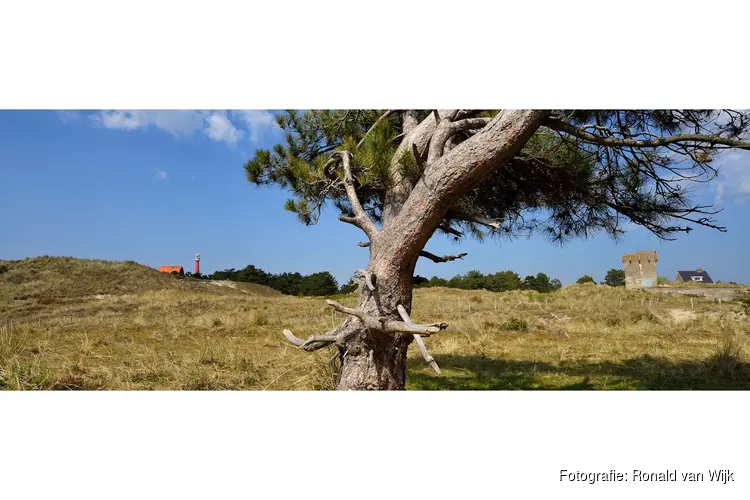 Zwerftocht door de Grafelijkheidsduinen
