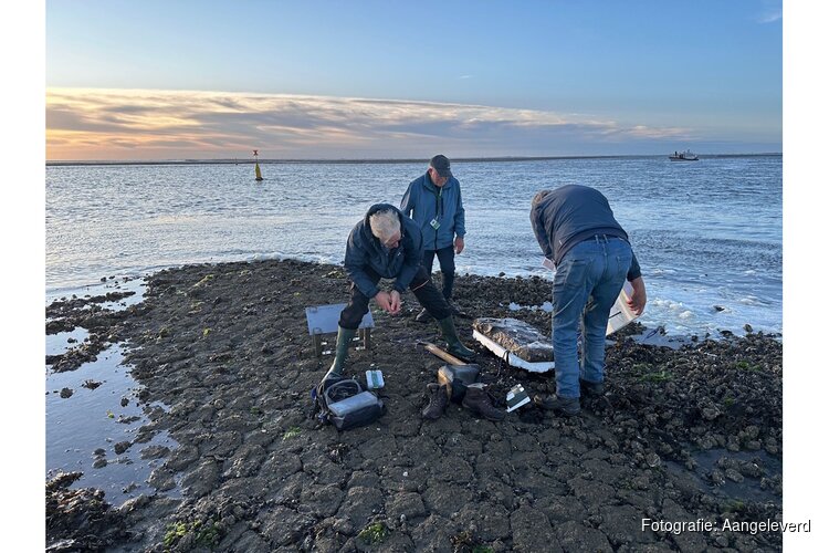 De dam die Napoleon niet bouwde
