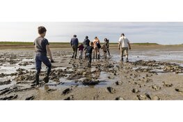 Ontdek het wad in de meivakantie