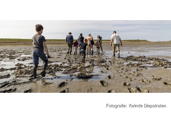 Ontdek het wad in de meivakantie