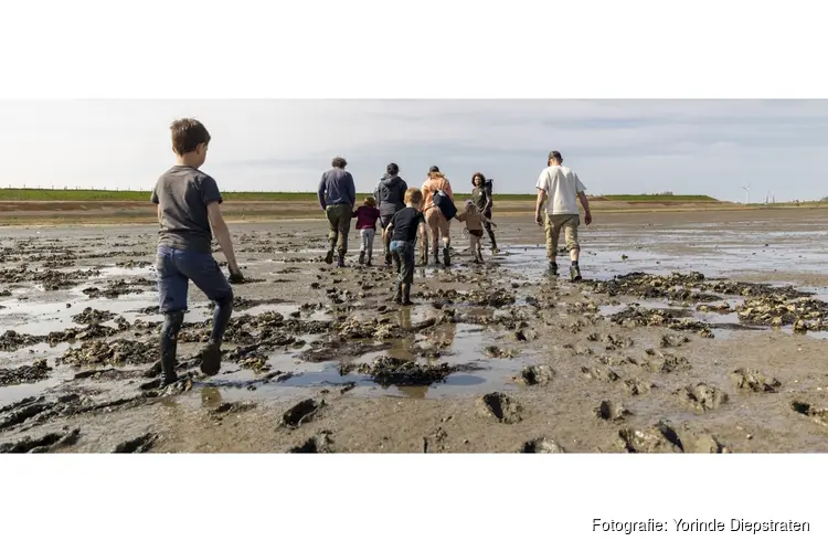 Ontdek het wad in de meivakantie