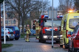 Persoon te water aan de Walvisvaardersweg in Den Helder