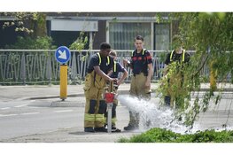 Wat doet de brandweer in de straat? Brandkranenronde in Den Helder trekt veel bekijks