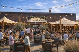 Festa di Vino: eerste wijnfestival in Den Helder
