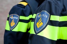 Aanhouding na film- of foto-incident in zwembad Den Helder