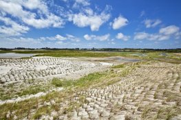 Bloemen, vogels en vlinders in Nollen-Zuid