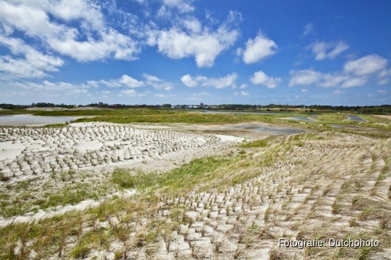 Bloemen, vogels en vlinders in Nollen-Zuid