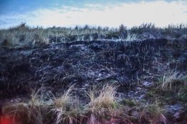 Duinbrand aan Tapuitenpad in Den Helder snel onder controle, politie onderzoekt mogelijke brandstichting