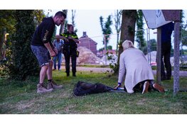 Vermiste Wallaby gevangen in Middenmeer na verdovingsschot