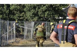 Bermbrand in Den Helder snel onder controle, politie maakt zoekslagen