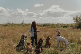 “Leer je hond lezen. Begrijp beter wat híj jou vertelt.”