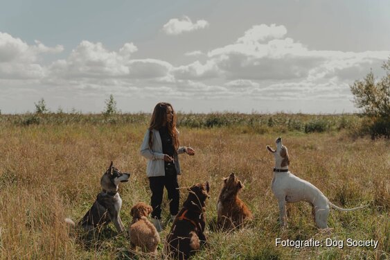 “Leer je hond lezen. Begrijp beter wat híj jou vertelt.”
