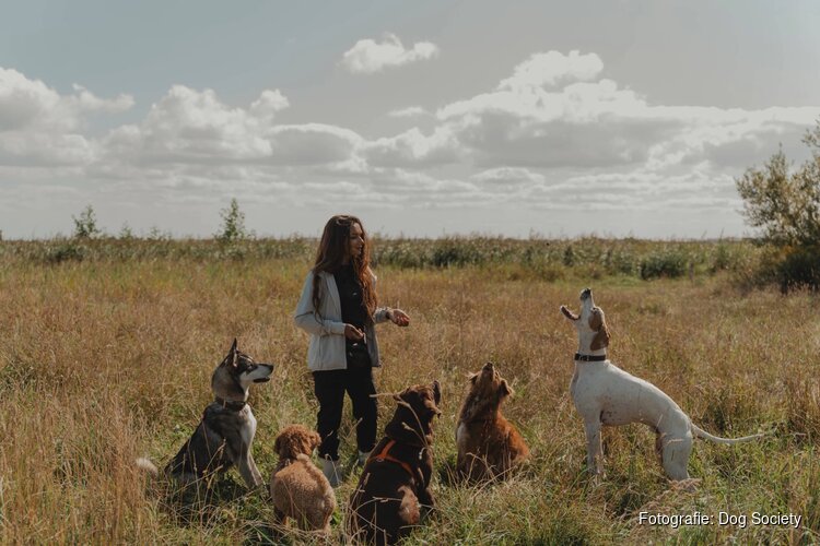“Leer je hond lezen. Begrijp beter wat híj jou vertelt.”