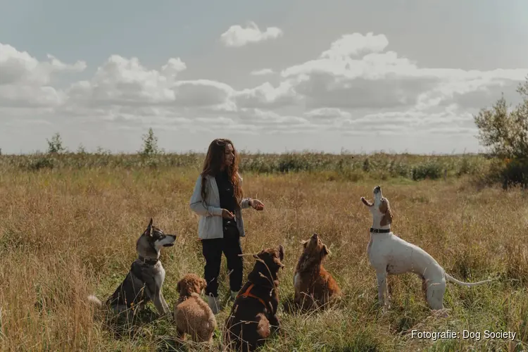 “Leer je hond lezen. Begrijp beter wat híj jou vertelt.”