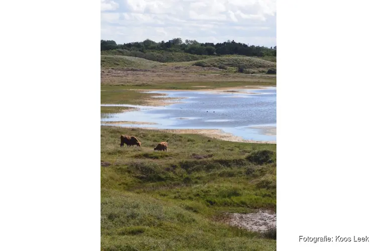 Wandelen door de prachtige natuur van het noordelijkste deel van Noord-Holland
