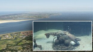 Dode Louis naar Texel voor onderzoek naar leeftijdsbepaling kreeften