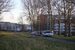 Flinke schade bij botsing op Schootenweg