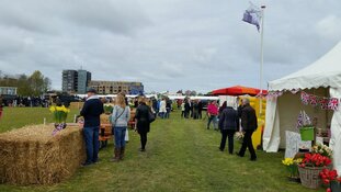 Springfair Julianadorp