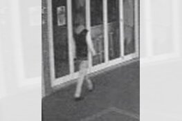 Den Helder - Gezocht - Zware mishandeling