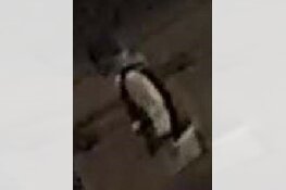 Den Helder - Gezocht - Zware mishandeling