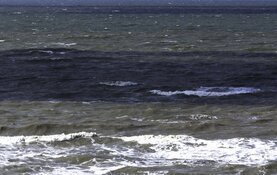 Trotse redders Wieringer visserman terug in haven Den Oever: "Bloid as blik!"