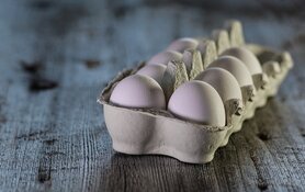 Ministers: voedselveiligheid verder versterken urgent