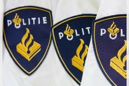 Politieagent in onderbroek grijpt mogelijke autodief