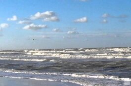 Vriendenploeg waakt over strand Callantsoog
