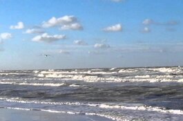 Geen explosieven gevonden op strand Den Helder: "Maar we gaan door"