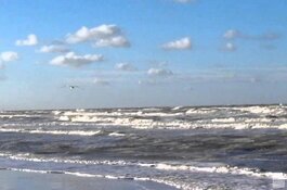 Ingrijpende veranderingen op de Noordzee door de groei van windparken vragen om meer onderzoek