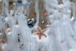 Fotolezing over zee en kustgebieden in School 7