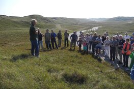 Meet-and-greet schaapskudde in Noordduinen