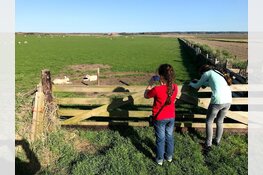 Regionaal Archief zoekt tijdsbeeld 2018
